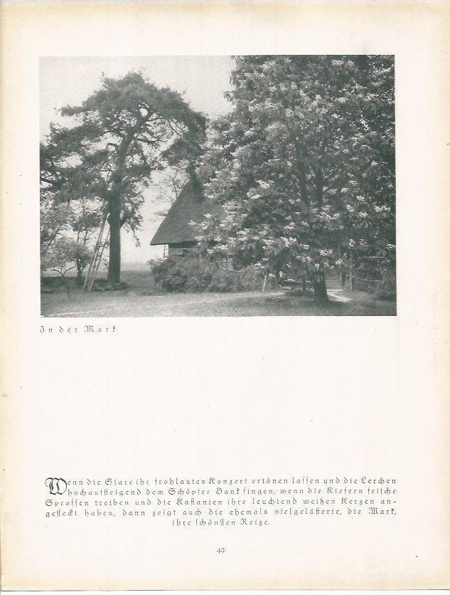 LAMINA 22659: Marf, Alemania