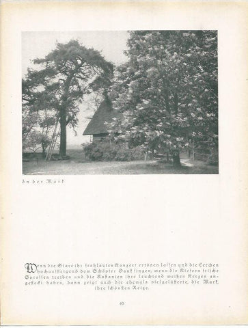 LAMINA 22659: Marf, Alemania