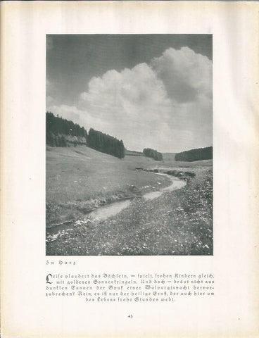 LAMINA 22656: Harz, Alemania