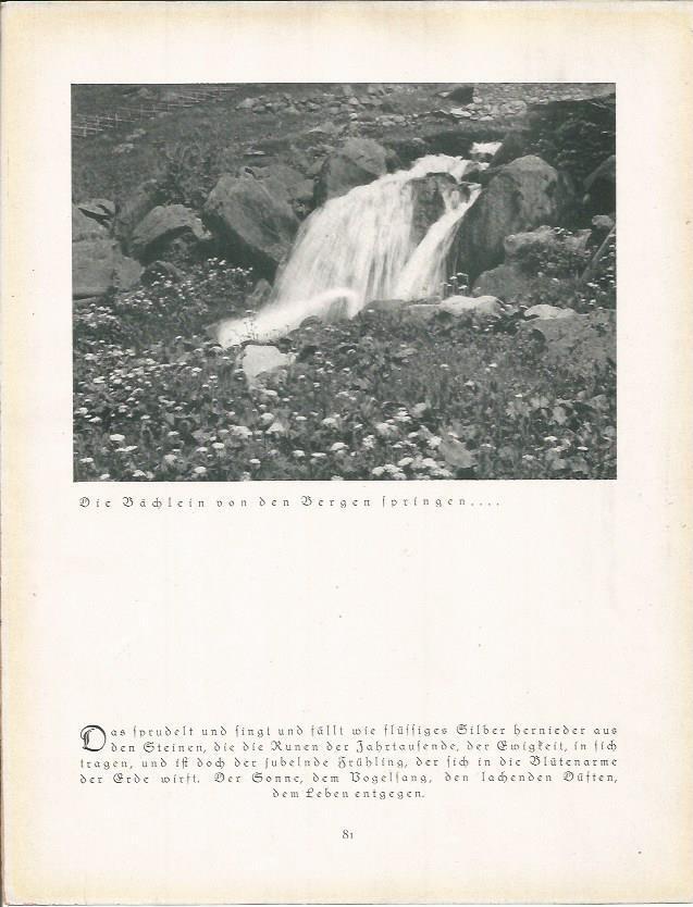 LAMINA 22675: Cascada en Alemania