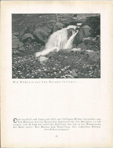 LAMINA 22675: Cascada en Alemania