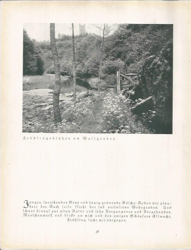 LAMINA 22653: Vista de Wallgraben, Alemania