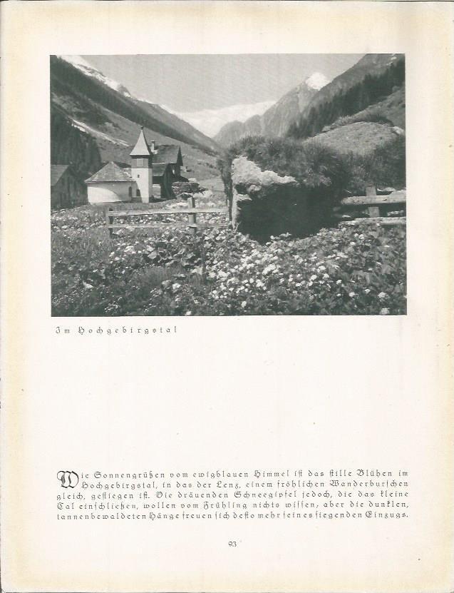 LAMINA 22681: Paisaje alpino en Alemania