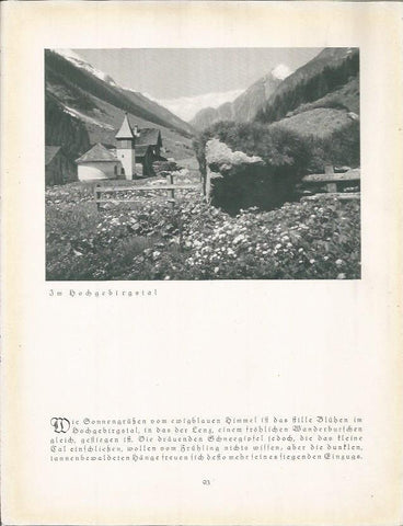 LAMINA 22681: Paisaje alpino en Alemania