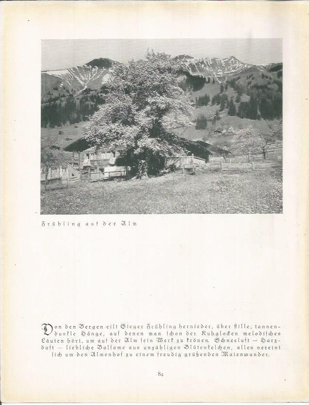 LAMINA 22676: Montañas de Alemania