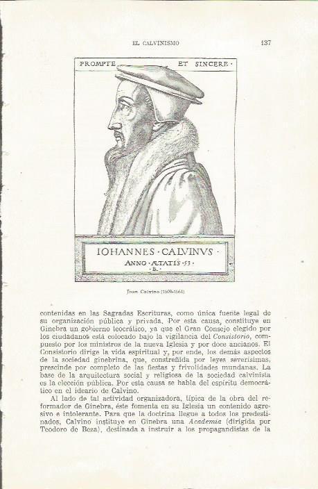 LAMINA 23841: Juan Calvino