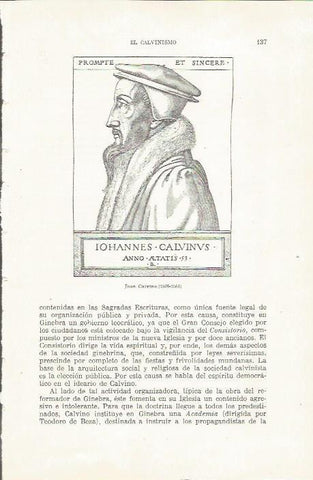 LAMINA 23841: Juan Calvino