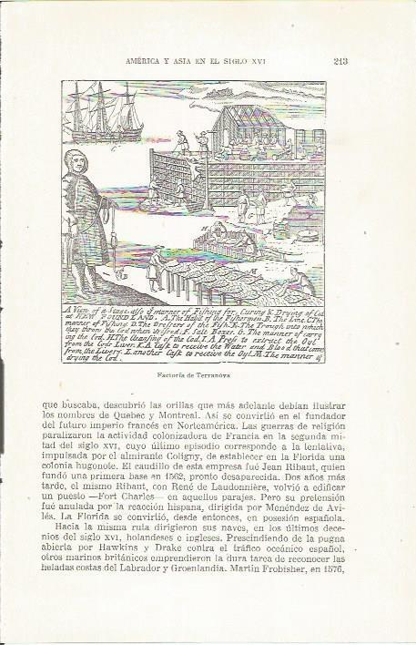 LAMINA 23854: Factoria de Terranova