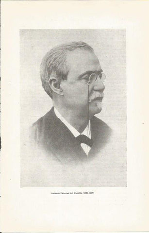 LAMINA 23814: Antonio Canovas del Castillo