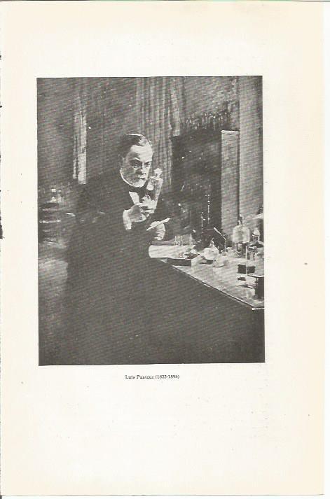 LAMINA 23807: Louis Pasteur
