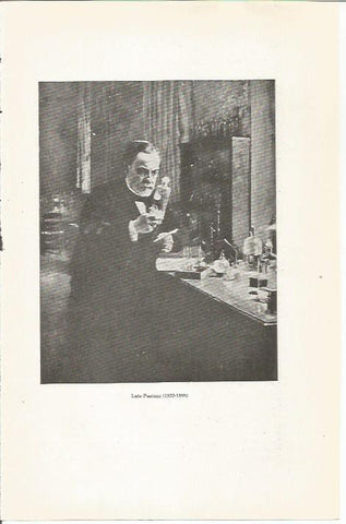 LAMINA 23807: Louis Pasteur