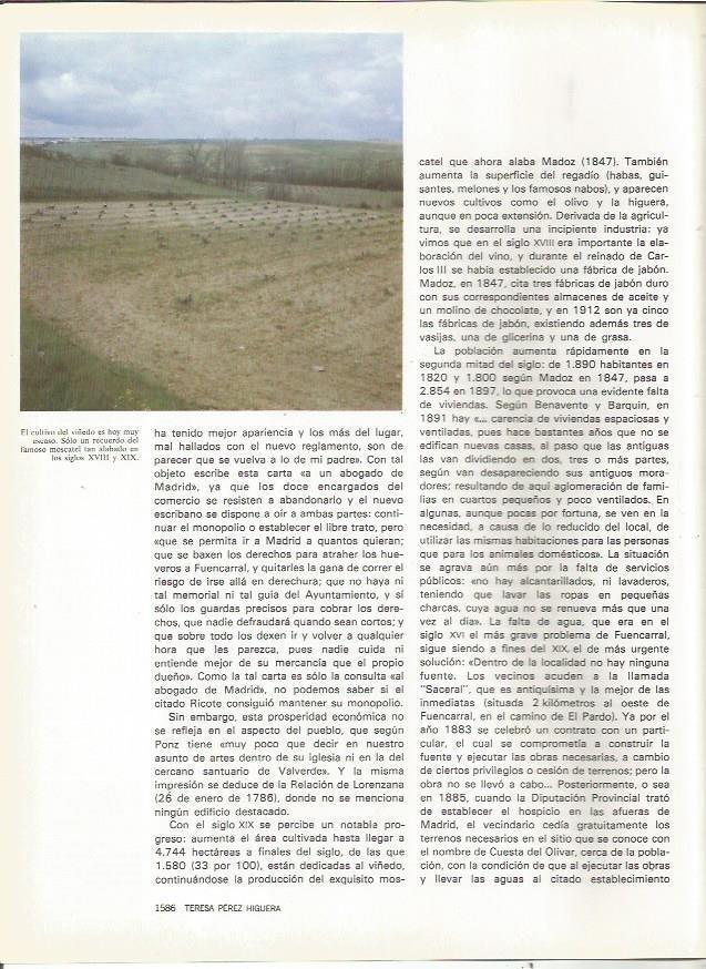 LAMINA 23641: Viñedos en Fuencarral, Madrid