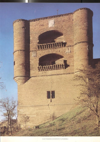 Lamina Castillos de España: Castillo de Benavente (Zamora)  