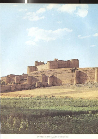 Lamina Castillos de España: Castillo de Berlanga de Duero (soria) 