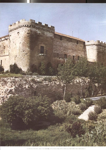 Lamina Castillos de España: Castillo del Buen Amor en Villanueva del Cañedo (Salamanca) 