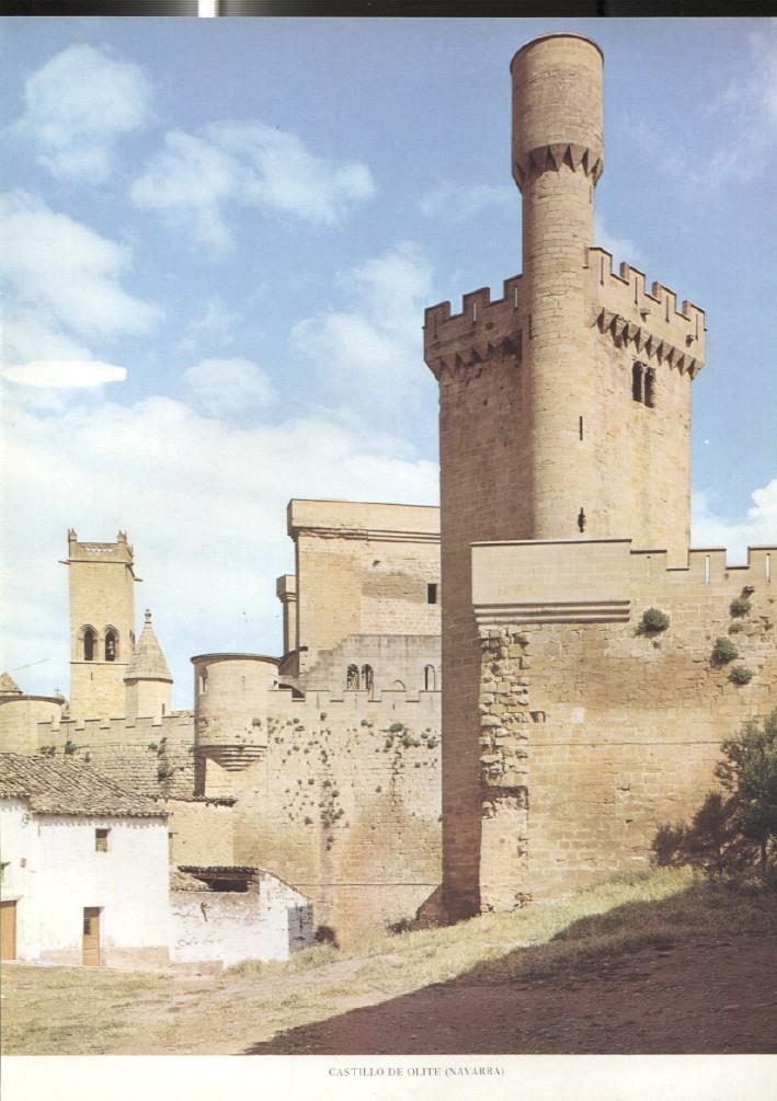 Lamina Castillos de España: Castillo de Olite (Navarra)