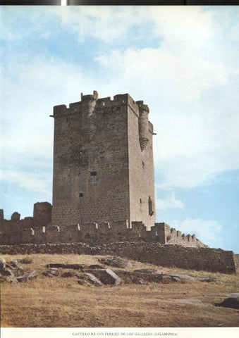 Lamina Castillos de España: Castillo de San Felices de los Gallegos (Salamanca)