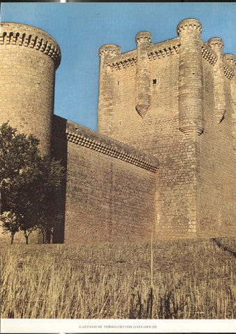 Lamina Castillos de España: Castillo de Torrelobaton (Valladolid)