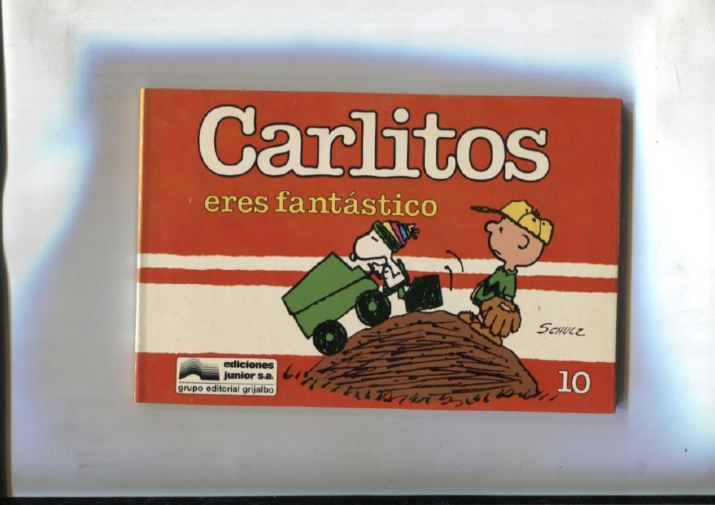 Tomito: Carlitos numero 10: eres fantastico