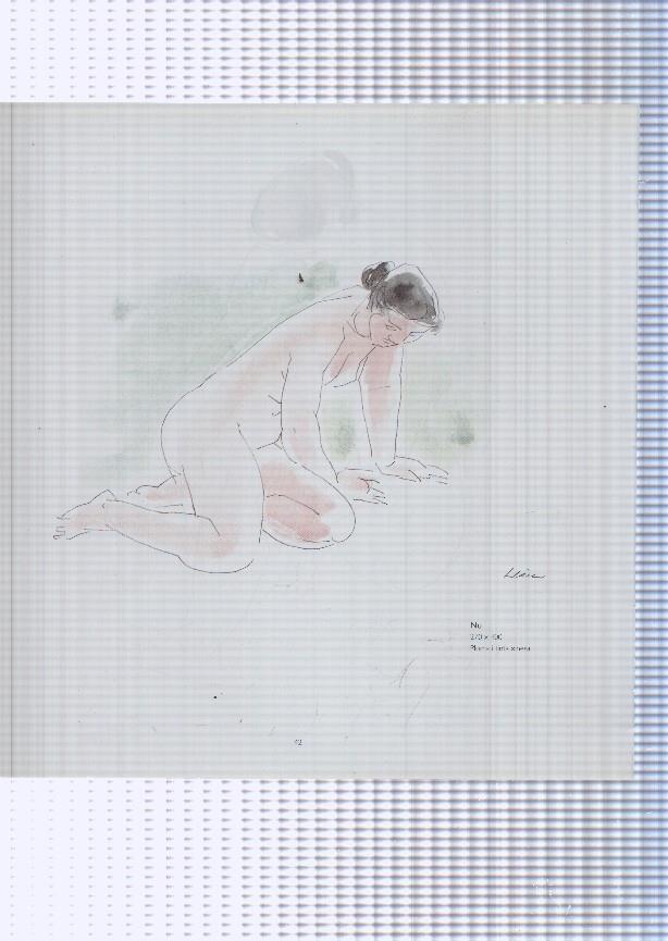 Teresa Llacer pagina 41/42: Nu + Nu