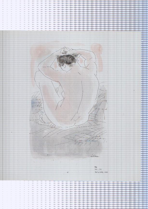 Teresa Llacer pagina 47/48: Nu + Figura