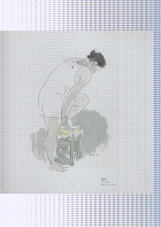 Teresa Llacer pagina 47/48: Nu + Figura