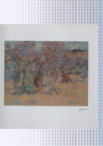 Teresa Llacer pagina 59/60: Llegint al jardi + Camp d'oliveres