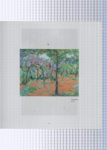 Teresa Llacer pagina 101/102: Til.lers florits + Flors
