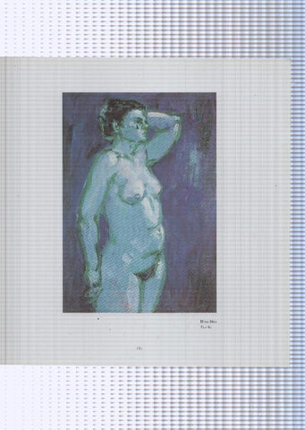 Teresa Llacer pagina 105/106: El nu blau + Dos nus, girasols i la gateta