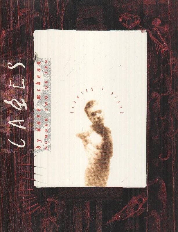 Cages numero 2 - Drawing a blank