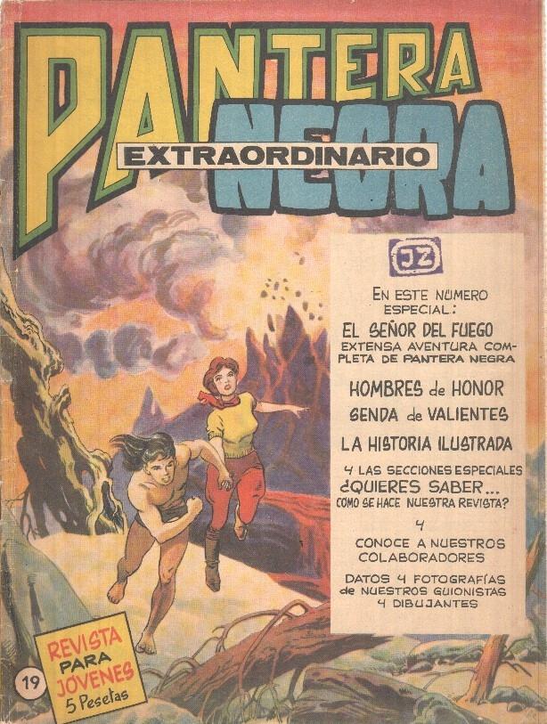 Pantera Negra Extraordinario 19