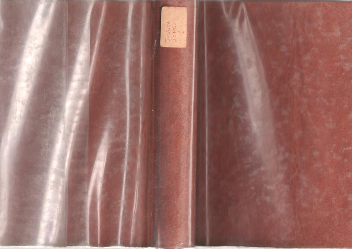 Dolar: Julieta Jones : 2 tomos con 19 cuadernos