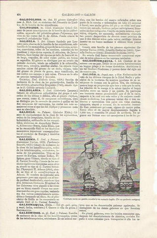 LAMINA ESPASA 37466: Grabado de un combate naval