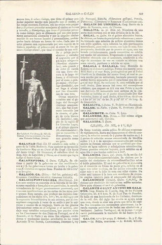 LAMINA ESPASA 37460: Sir Galahad en Jersey