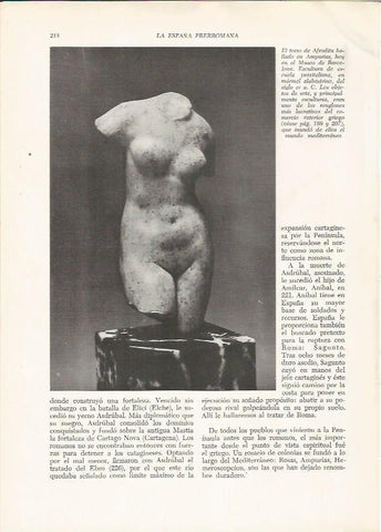 LAMINA HISTORIA 26228: El torso de Afrodita