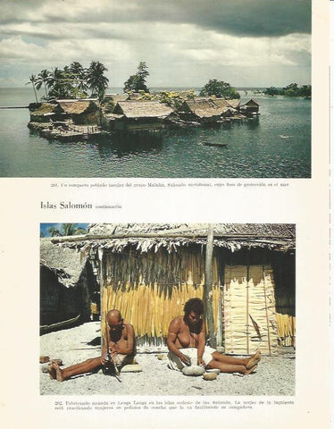 LAMINA 26420: Cabañas en las Islas Salomon