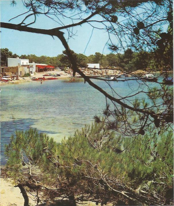 LAMINA 26450: Playa Es Cana. Ibiza