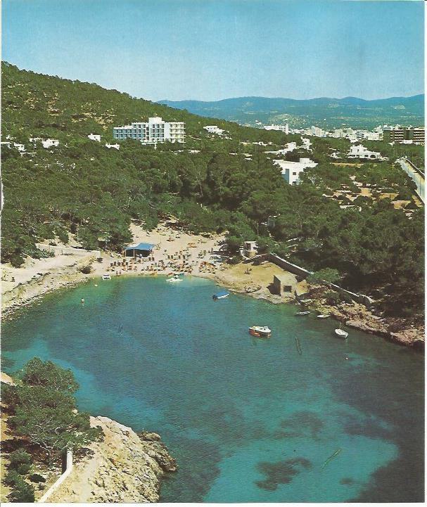 LAMINA 26463: Cala Gracio, Ibiza