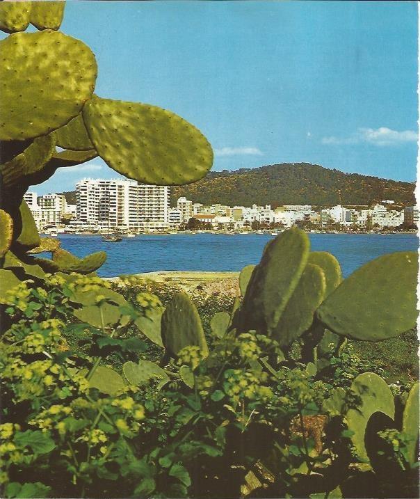 LAMINA 26459: Villa de San Rafael, Ibiza
