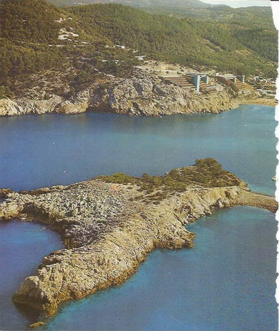 LAMINA 26455: Vista de Cala Portinatx. Ibiza