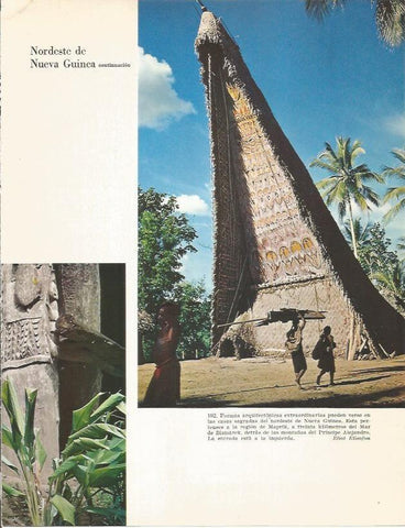 LAMINA 26418: Casa sagrada de Maprik, Nueva Guinea