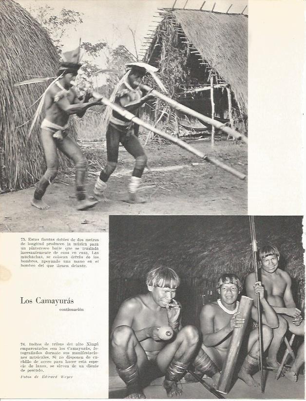 LAMINA 26380: Los Camayuras