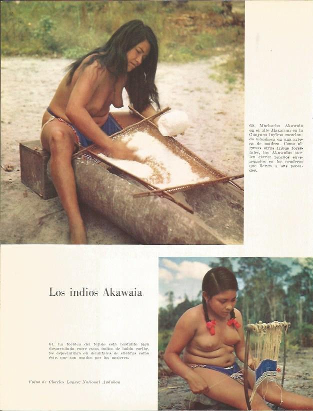 LAMINA 26376: Los Akawaia