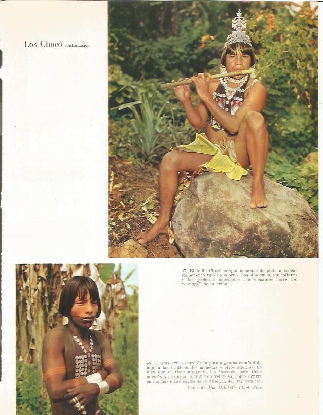 LAMINA 26373: Indios Choco