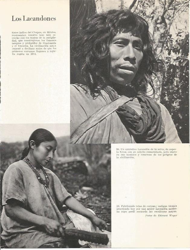 LAMINA 26370: Los Lacandones