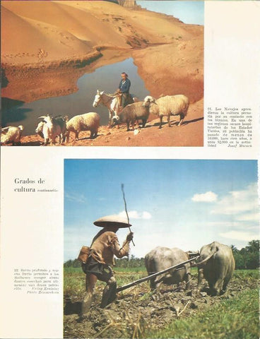 LAMINA 26365: Los Navajos y Balineses