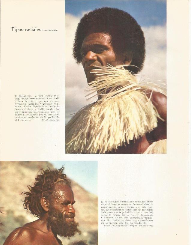LAMINA 26361: Melanesio y aborigen de Australia
