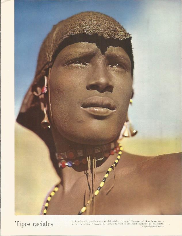 LAMINA 26360: Los Masai