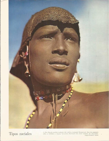 LAMINA 26360: Los Masai