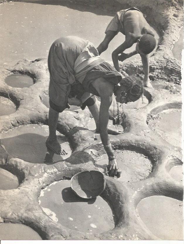 LAMINA 26386: Evaporacion de agua salina en Teguidda-n-Tisent